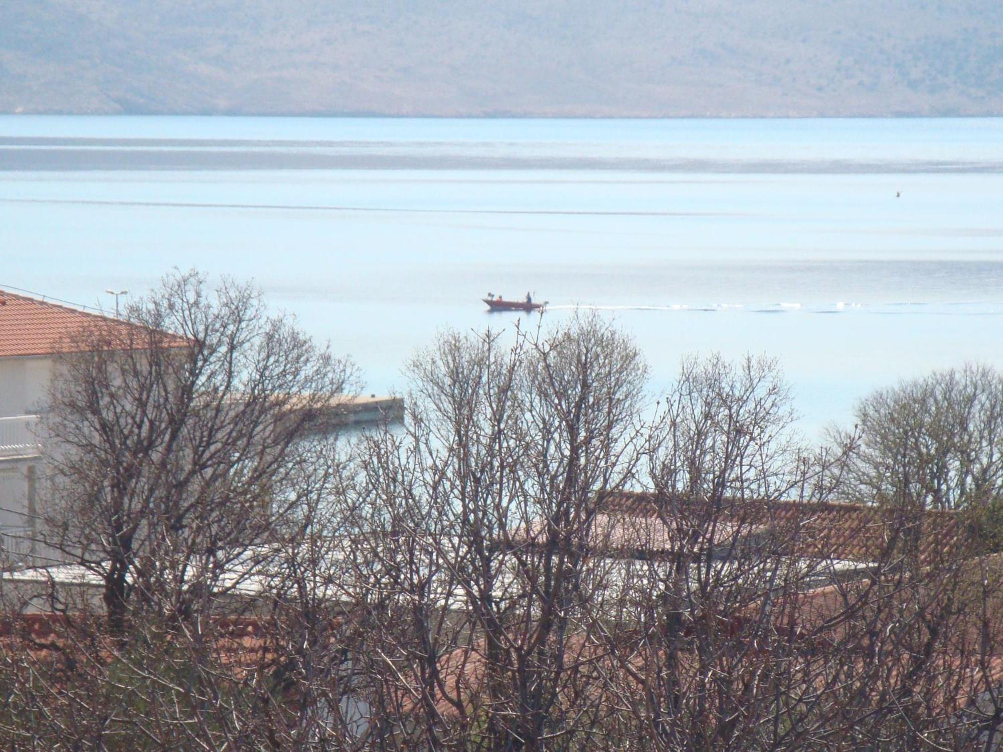 Vukelić